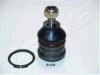 ASHIKA 73-05-524 Ball Joint
